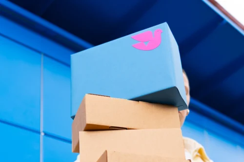 ELVA klients Pasts pakomats pakas